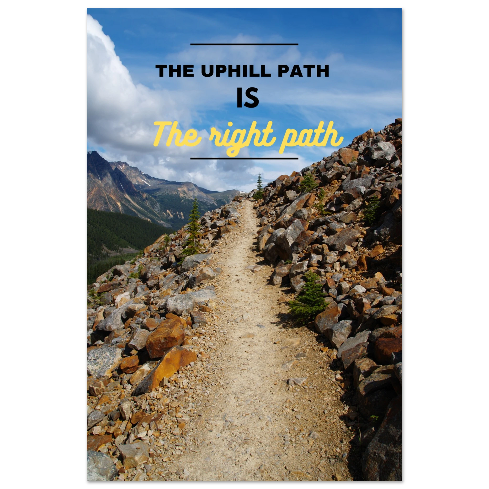 24d10bb6-b702-4177-bd62-1f0d62d6f394