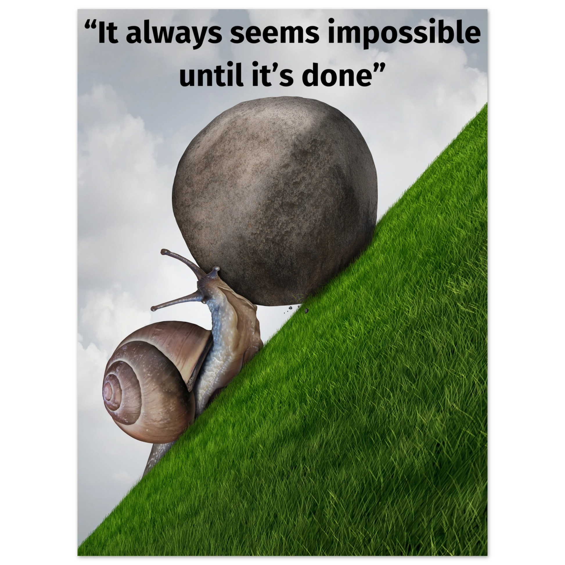 2544e310-61e9-4bb8-91d0-a7599b6aef52